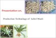 Production technology of Safed musli By- Shivanand M.R