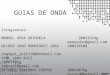 Guia de Onda - IT-224 Exp01