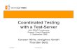 Coordinated Testing with a Test-Server