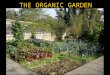 Pestalozzi Organic Garden