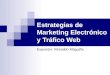 Estrategias de Marketing Electronico y Trafico Web