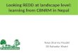 Looking REDD at landscape level: learning from CBNRM in Nepal