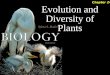 Ap bio lecture   ch24 evolution and diversity of life