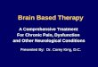 Brain Based Therapy Workshop