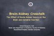 Brain-kidney crosstalk: The Effect of Acute Kidney Injury on the Brain and Cerebral Function