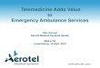 Telemedicine in Ambulance Services - Med-e-Tel Luxembourg (April 2010)