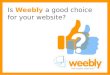 Are Weebly websites right for you?