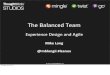 Balanced Team: Experience Design and Agile
