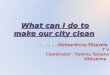 What can i do to make our city clean