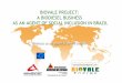Biovale   biodiesel business as an agent of social inclusion