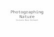 Photographing Nature Photography Tips