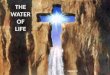 04 water of life
