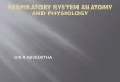 respiratory system anatomy and physiology by Dr.niveditha