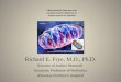 Mitochondrial Disorders and Cerebral Folate Deficiency in Autism Spectrum Disorder