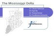 The mississippi delta gifts track ii