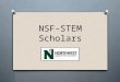 NFS-S STEM Scholars