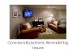 Common Basement Remodeling Issues