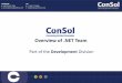 ConSol Partners - Overview of .net specialist practice within the Development division