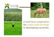 A Technical Cooperation for Small-scale Farmings in Developing Countries