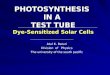 Photosyntheis in a test tube-Dye sensitized solar cells (USPseminar)