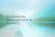 Biodiversity Management & Forestry