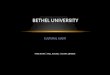 Cultural Audit: Bethel University