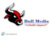 Bull Media