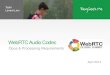 WebRTC Audio Codec: Opus and processing requirements