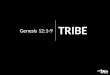 Pictures: 01 | Tribe - Genesis 12:1-9