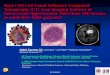 Does CD4 Cell Count Influence CT features of Intracranial Opportunistic Infections in adult HIV/AIDS Patients- EduPublish-MMA Kareem, USM, KB, Malaysia