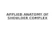 applied anatomy of shoulder joint