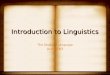 Intro to linguistics, presentation