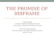 The Promise of BIBFRAME, by Angela Kroeger