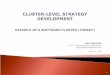 "Cluster-level Strategy: Example of Software Cluster in Turkey"