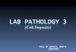 Lab Pathology 3