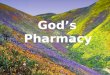 Gods pharmacy ppt