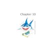 Chapter 10 sharks skates and rays