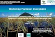 Workshop Pantanal Everglades