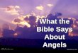 What the Bible Says About Angels