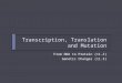 08 transcription, translation and mutation