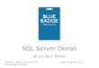 SQL Server Denali: BI on Your Terms