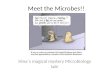 Meet the microbes!!