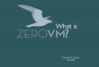 What Is ZeroVM