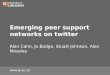 Emerging peer support networks on twitter