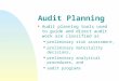 Audit planning and risk assessment