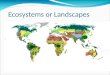 Ecosystems landscapes