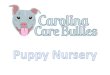 Puppy Nursery