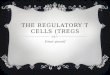 The regulatory t cells (tregs