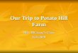 Potato Hilll Farm Ms. Dicesare