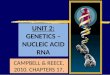 Genetics Nucleic Acid RNA
